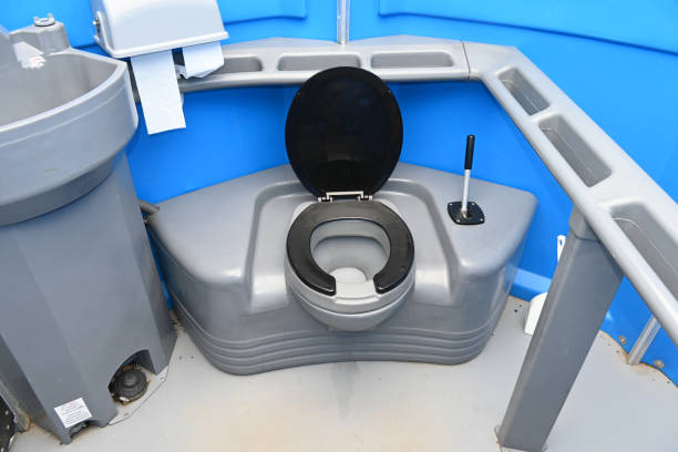 Best Sanitation services for porta potties  in Martinsvle, IL